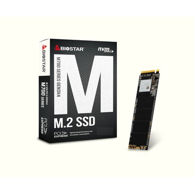 Диск SSD M.2 PCI-E 1000Gb (1TB) BIOSTAR M760 Series, M.2 PCI-E 3.0 x4, NVMe. Speed: Read-3500Mb/s, Write-1300Mb/s размеры: 22 x 80 x 2 мм ( SA122PME3T )