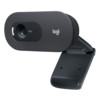 Веб камера Logitech C505 (960-001364)