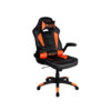 Кресло игровое CANYON Gaming chair (CND-SGCH2)